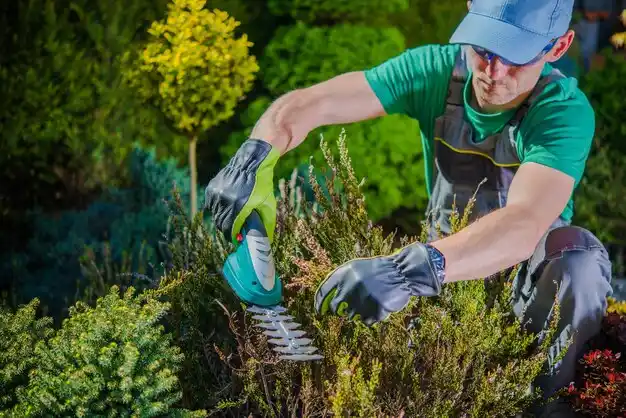 landscaping services Ellsworth